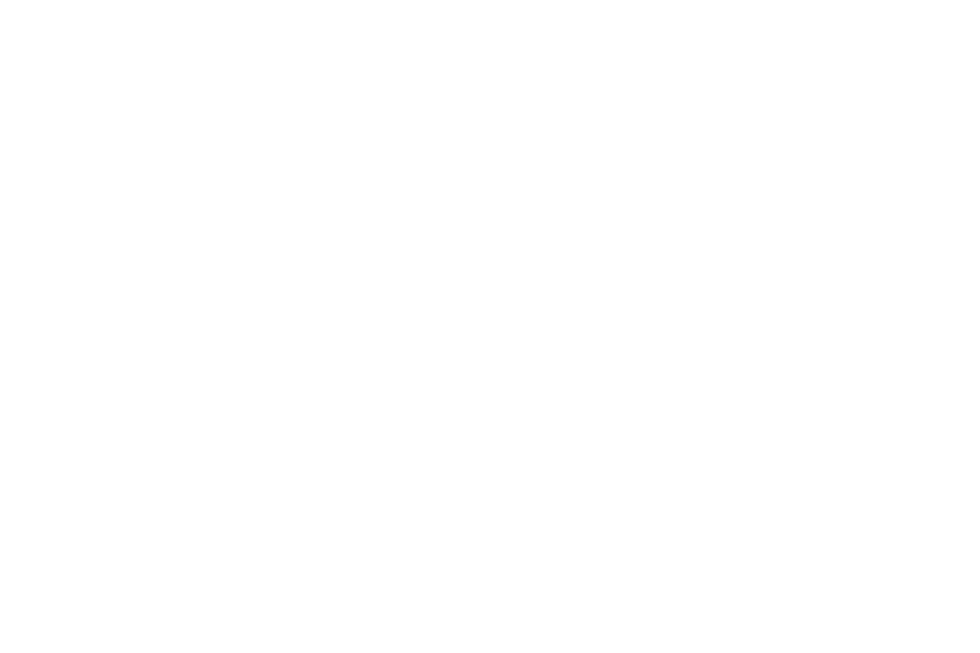 Courier Logo